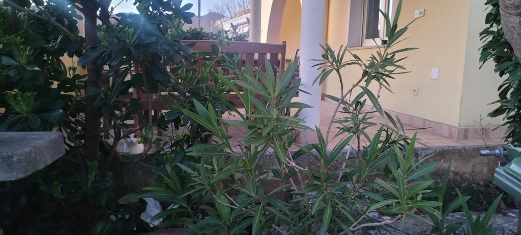 Apartmani Sanja 클레노비차 외부 사진
