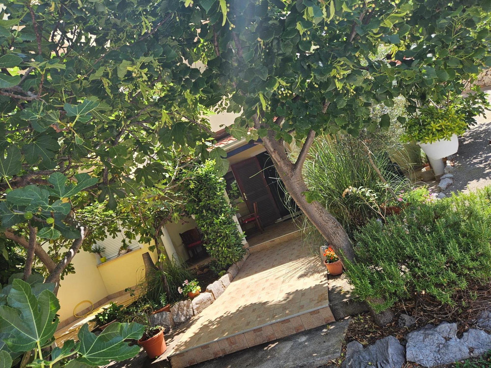 Apartmani Sanja 클레노비차 외부 사진